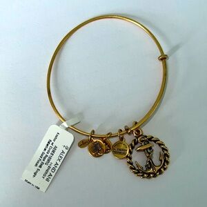 Alex and Ani Energy Anchor expandable bracelet NWT 3 for $20